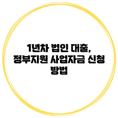 1년차 법인 대출, 정부지원 사업자금 신청 방법