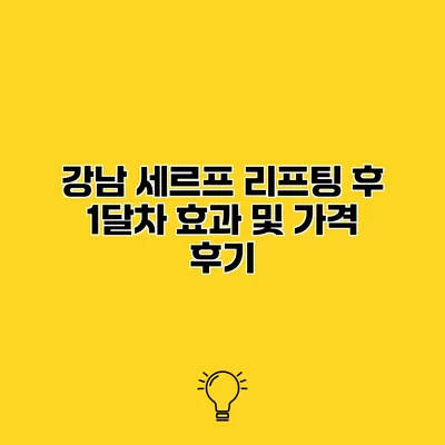 강남 세르프 리프팅 후 1달차 효과 및 가격 후기