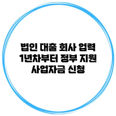 법인 대출 회사 업력 1년차부터 정부 지원 사업자금 신청