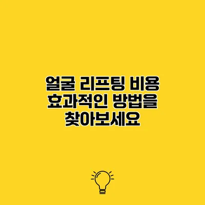 얼굴 리프팅 비용 효과적인 방법을 찾아보세요